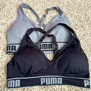 2 pack sports bras